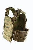 Plate carrier "BarahtAr" (285×355): pixel, photo